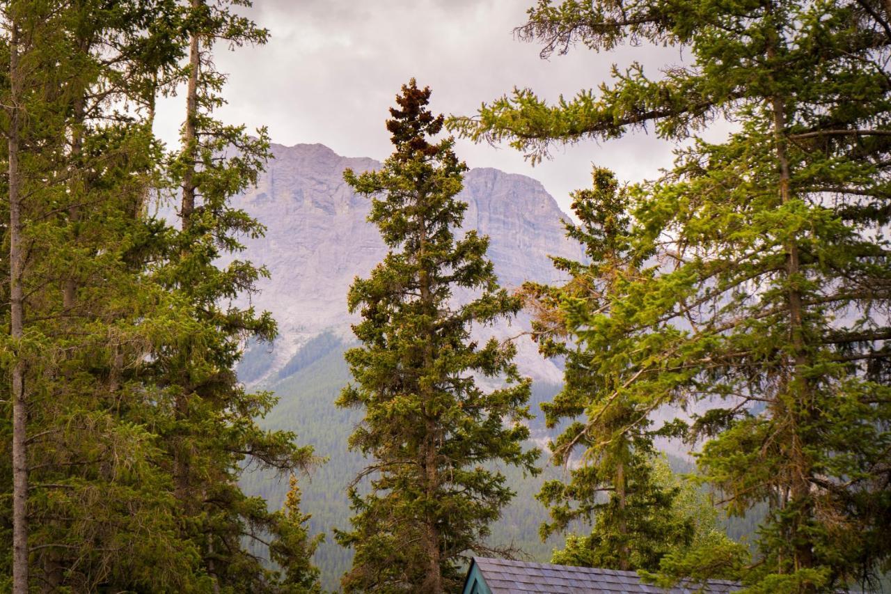 Luxury Suite With Sauna And Spa Bath - Elkside Hideout B&B Canmore Exterior photo